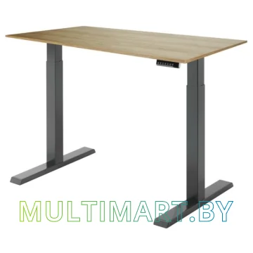 Стол для работы стоя ErgoSmart Electric Desk Compact 1380х800х18 мм (дуб натуральный/черный) 